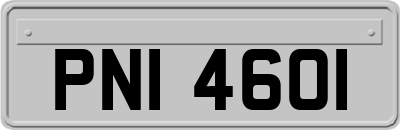 PNI4601