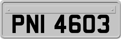 PNI4603