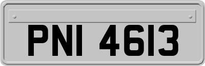 PNI4613