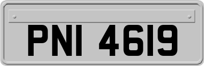 PNI4619