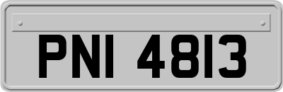 PNI4813