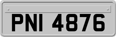 PNI4876