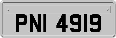 PNI4919