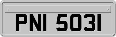 PNI5031