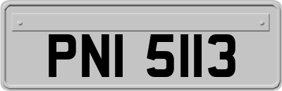 PNI5113