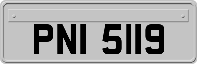 PNI5119