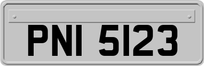 PNI5123