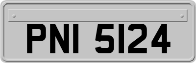 PNI5124