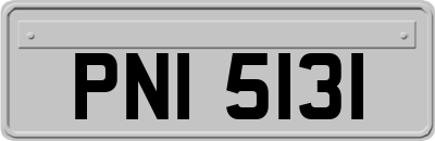 PNI5131