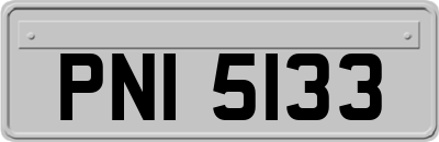 PNI5133