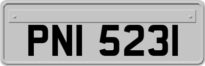 PNI5231