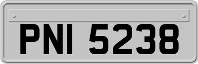 PNI5238