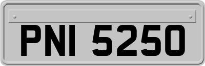 PNI5250
