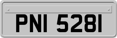 PNI5281