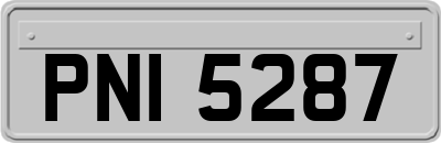 PNI5287