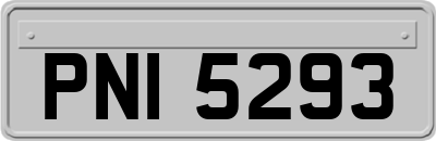PNI5293
