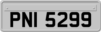 PNI5299