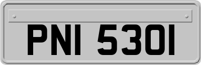 PNI5301