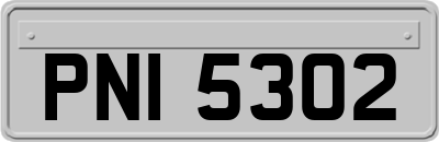 PNI5302