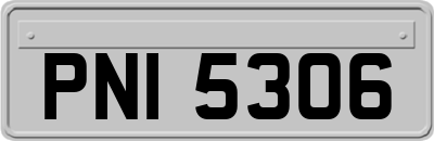 PNI5306