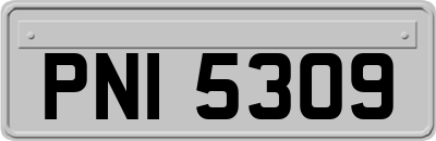 PNI5309