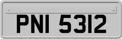 PNI5312