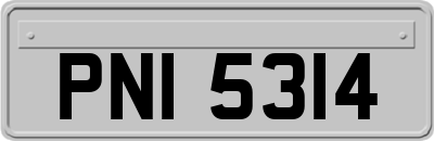 PNI5314