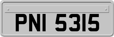PNI5315