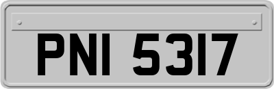PNI5317