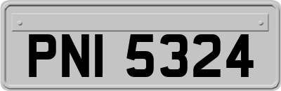 PNI5324