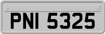 PNI5325