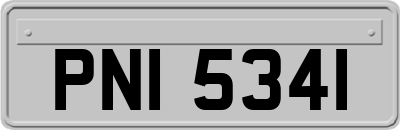 PNI5341
