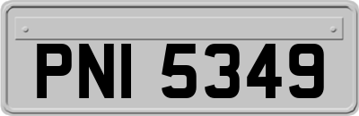 PNI5349