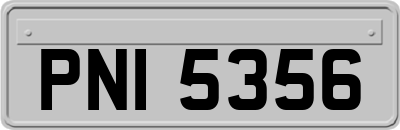 PNI5356