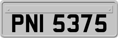 PNI5375