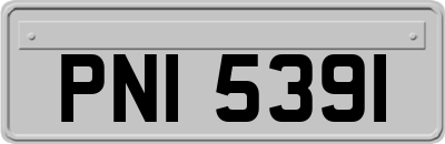 PNI5391