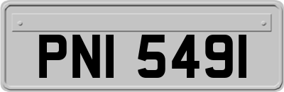 PNI5491