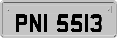 PNI5513