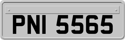 PNI5565