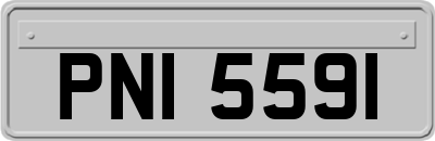 PNI5591