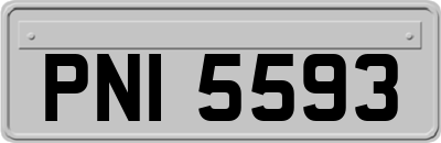 PNI5593
