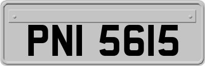 PNI5615