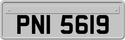 PNI5619