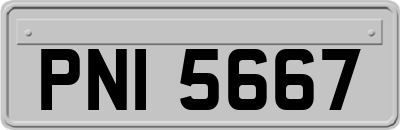 PNI5667