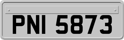 PNI5873