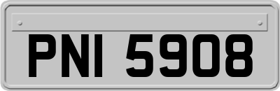 PNI5908