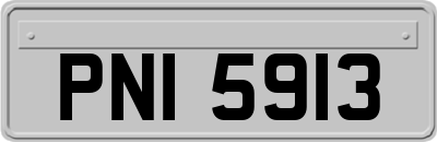 PNI5913