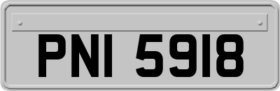 PNI5918