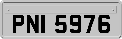 PNI5976