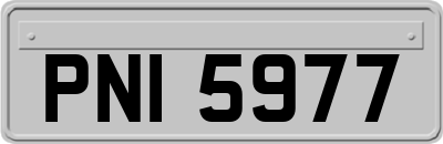 PNI5977